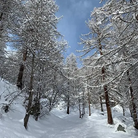 Monolocale Sulle Piste Staffal - Gressoney Appartamento *