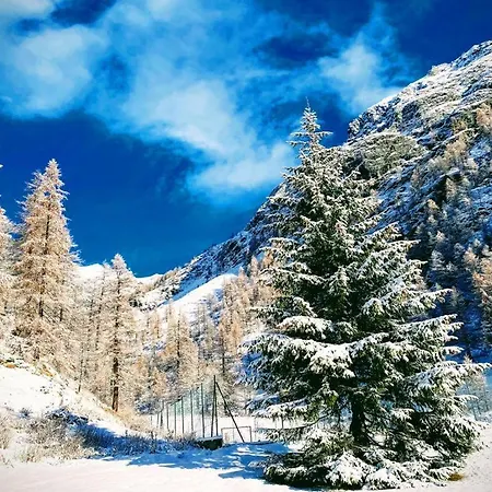 Monolocale Sulle Piste Staffal - Gressoney Appartamento